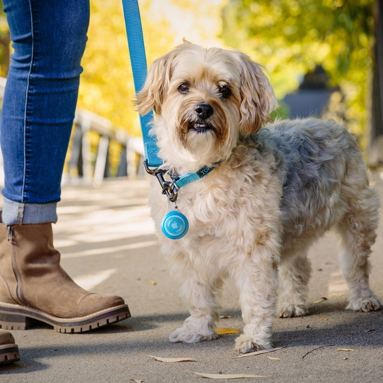 Wearabout Pet Tracker Holder Clippable